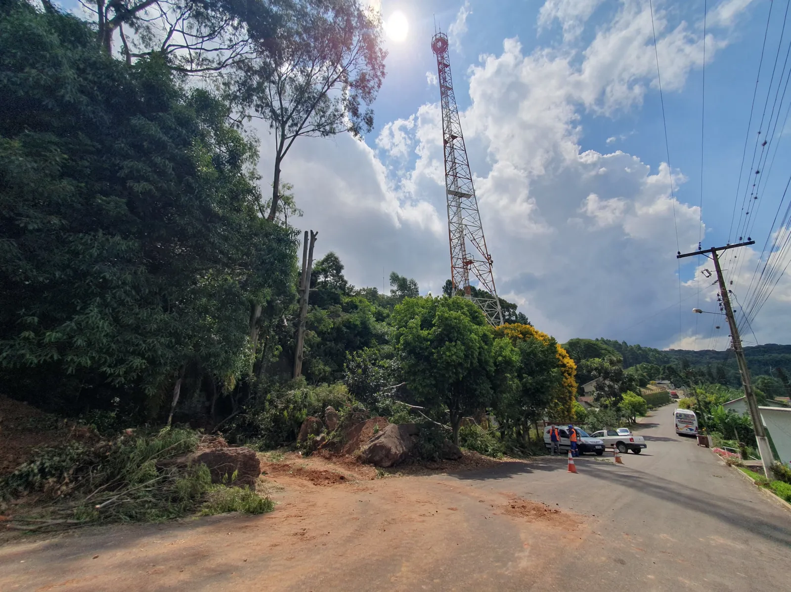 Prefeitura de Salvador do Sul realiza corte de árvores para garantir segurança e revitalização de espaços públicos